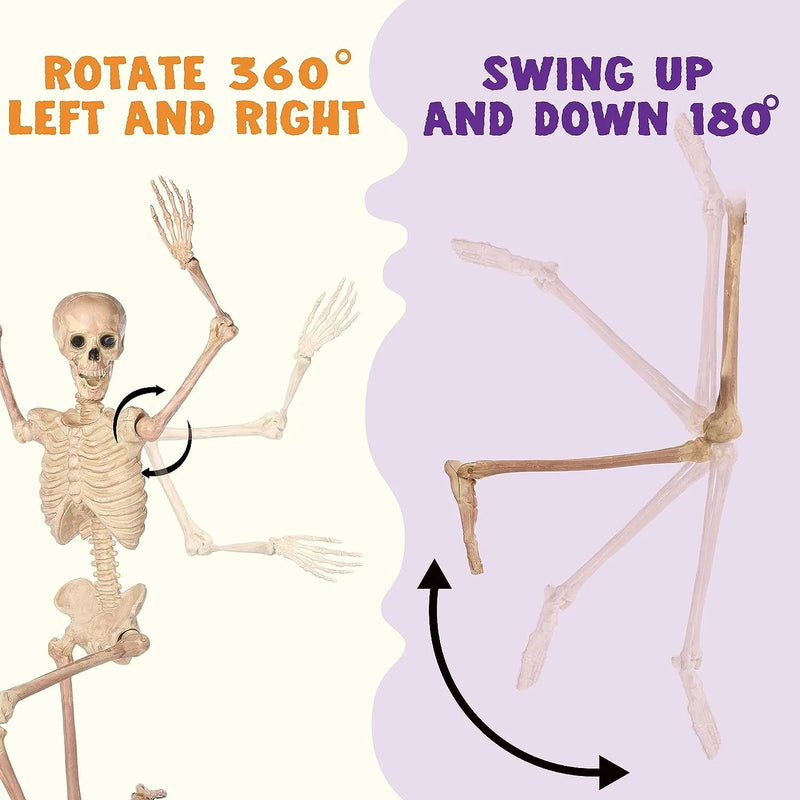 JOYIN Halloween 63 Inches Skeleton Full Body Posable