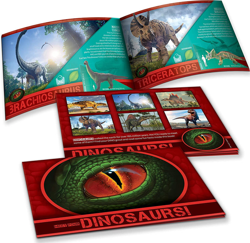 12in to 14in Dinosaurs Pack, 6 Pcs