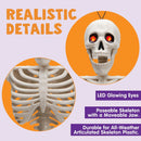 2 PCS 16in Halloween Skeletons Decoration Full Body Posable Hanging Skeletons
