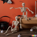 2 PCS 16in Halloween Skeletons Decoration Full Body Posable Hanging Skeletons