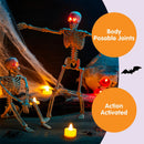 2 PCS 16in Halloween Skeletons Decoration Full Body Posable Hanging Skeletons