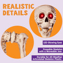 5.6 FT Halloween LED Life-Size Skeleton Full Body Human Bones