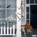 5.6 FT Halloween LED Life-Size Skeleton Full Body Human Bones