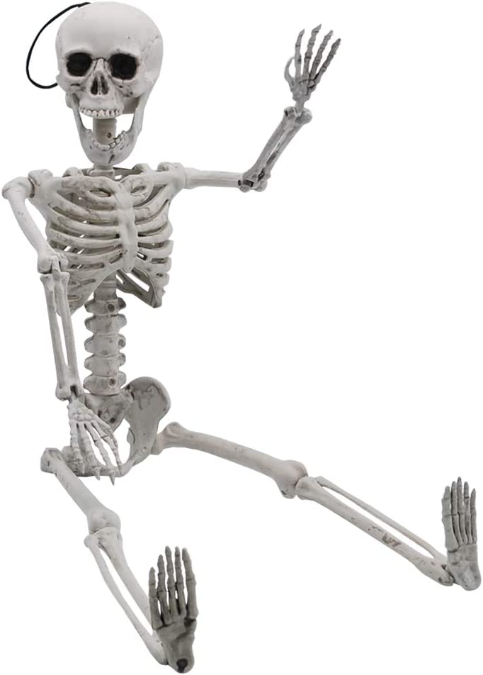 24" Pose-N-Stay Full Body Skeleton Plastic Bones