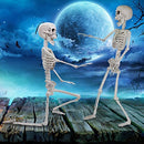 24in Pose-N-Stay Full Body Skeleton Plastic Bones
