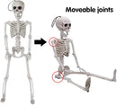 24in Pose-N-Stay Full Body Skeleton Plastic Bones