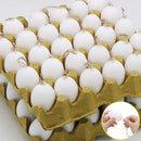 60Pcs White Plastic Egg Ornaments