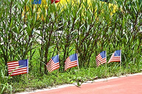 10in American Flags with Handheld Wooden Sticks, 24 Pcs