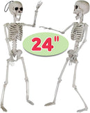 24in Pose-N-Stay Full Body Skeleton Plastic Bones