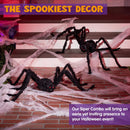 Halloween Hairy Spiders, 2 packs