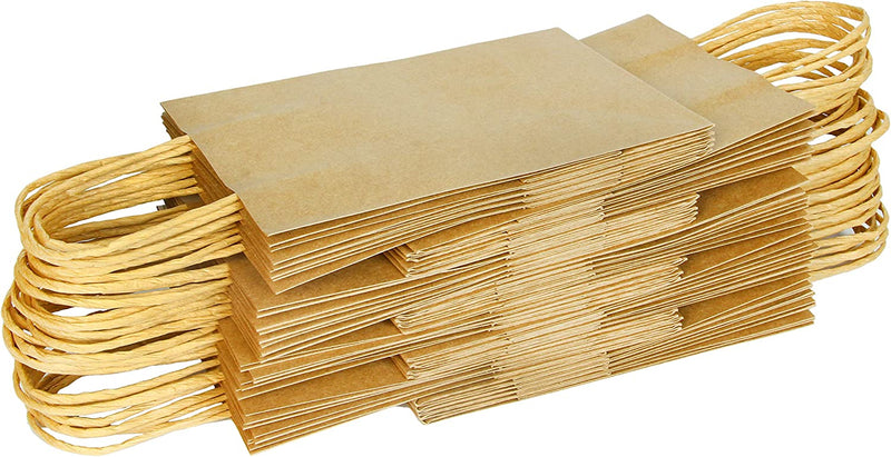 100 Pcs Christmas Kraft Paper Bags