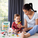 Assorted Dinosaurs, Insects and Natural Animals, 5 Pack