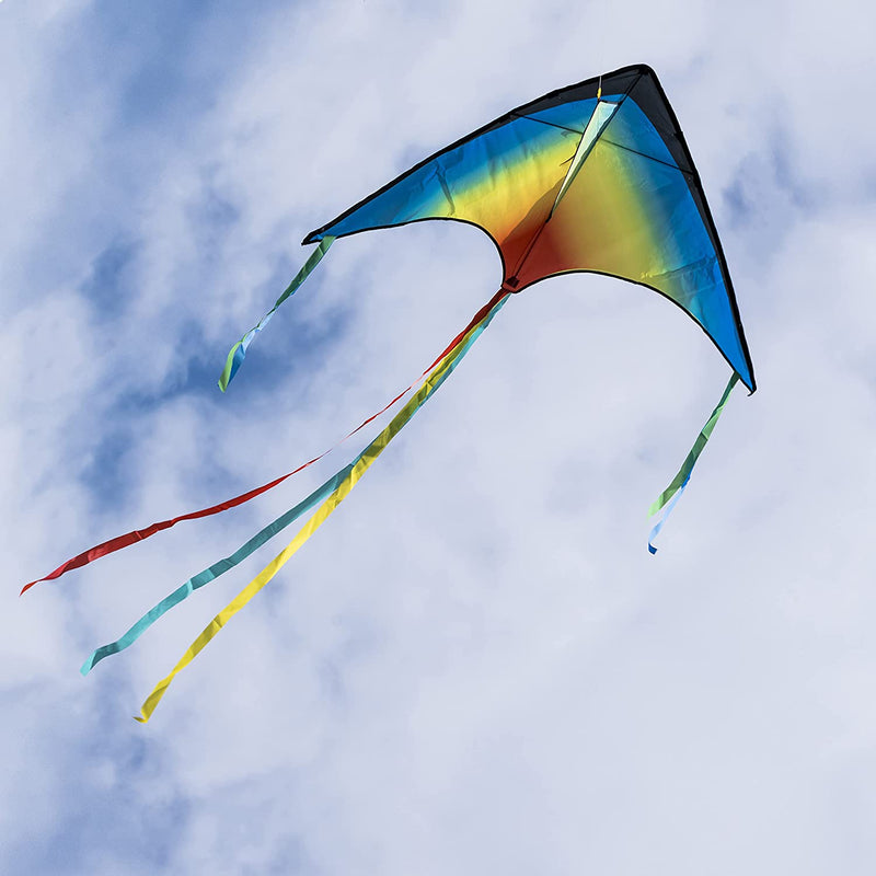 Big Delta Kite (Rainbow)
