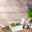 Easter Grass Recyclable Paper Shred in 6 Pastel Colors 12oz