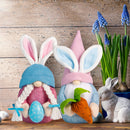 2Pcs Gnome Faceless Plush