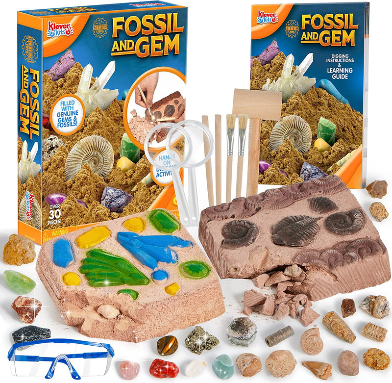 I Dig It! 24 Rocks & Fossils Excavations