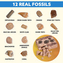 Klever Kits - Fossil And Gemstones Dig Kit