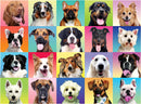 Multicolor Dogs Puzzles, 300 Pcs