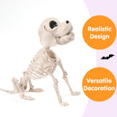 Posable Halloween Dog Skeleton Full Body Posable Joints Skeleton Puppy