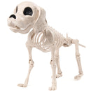 Posable Halloween Dog Skeleton Full Body Posable Joints Skeleton Puppy