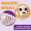 Posable Halloween Dog Skeleton Full Body Posable Joints Skeleton Puppy