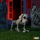 Posable Halloween Dog Skeleton Full Body Posable Joints Skeleton Puppy
