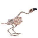Pose-N-Stay Vulture Skeleton