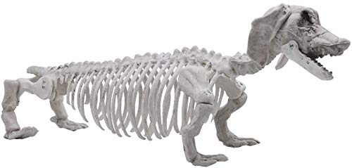 Pose-N-Stay Wiener Dog Skeleton