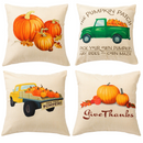 Fall Pumpkin Harvest Pillow Covers