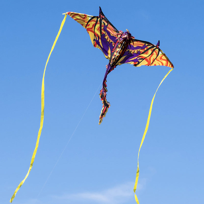 3D Dragon Kite with Tail