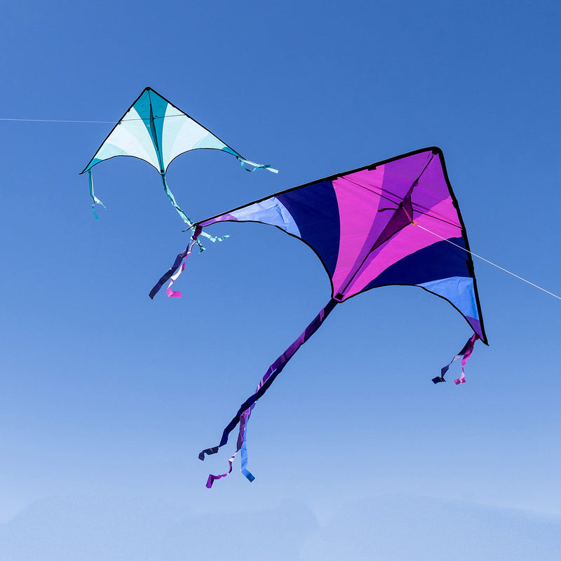 2 Packs Big Delta Kite (Blue & Purple)