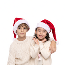 Premium Christmas Santa Hats, 12 Packs