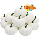 12 Pcs Thanksgiving Artificial White Mini Pumpkins