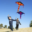 Delta Multicolor Kite, 3 Packs
