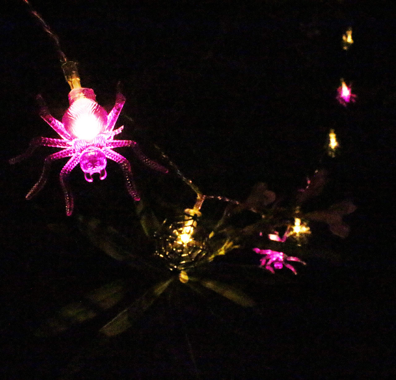 LED Spider Web/Spider Shape Warm White/Purple String