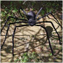 60" Realistic Hairy Halloween Spider With Red Led Eyes