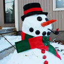 Snowman Decorating Kit