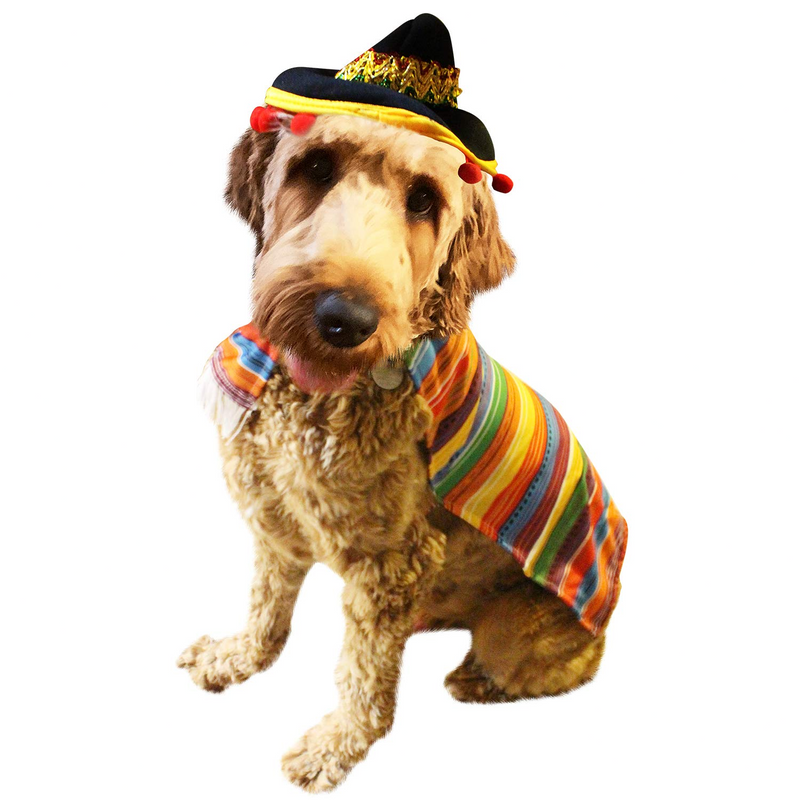 22" Fiesta Pet Costumes, 2 Pcs