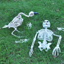 Pose-N-Stay Vulture Skeleton