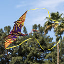 3D Dragon Kite with Tail
