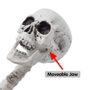 30in Pose-N-Stay Full Body Skeleton Plastic Bones