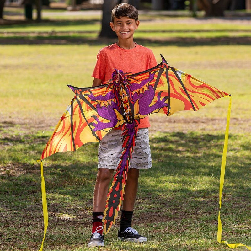 3D Dragon Kite with Tail