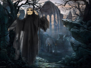25-inch Animated Skeleton Ghost