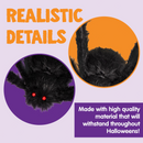 2 Pack 5 Ft Halloween Outdoor Decorations Hairy Black Spider