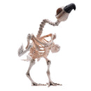 Pose-N-Stay Vulture Skeleton