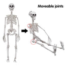 30in Pose-N-Stay Full Body Skeleton Plastic Bones