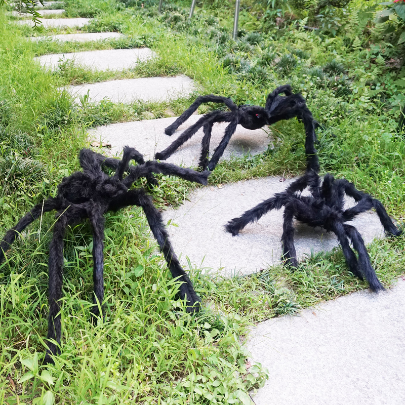 Hairy Spiders With Giant Spider Web