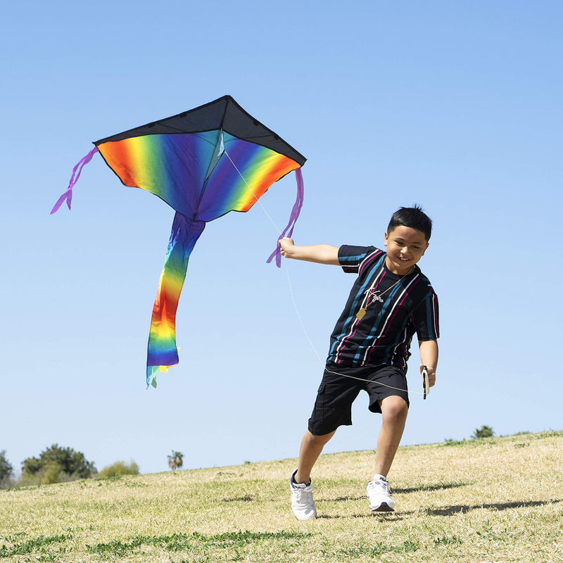 Delta Multicolor Kite