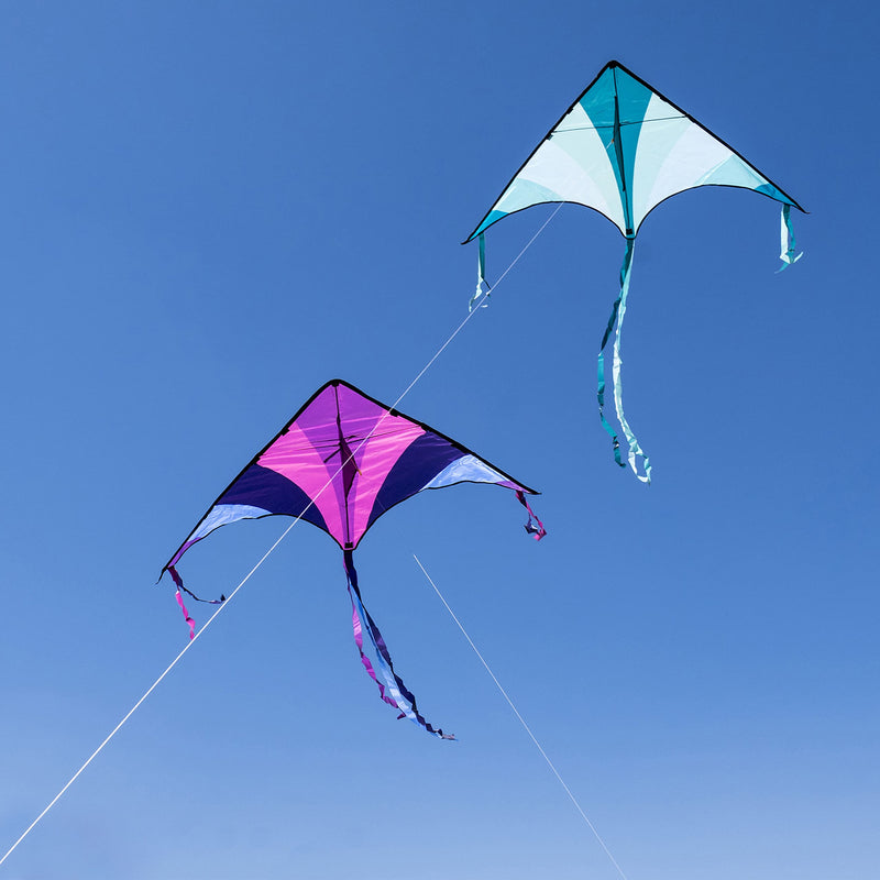 2 Packs Big Delta Kite (Blue & Purple)