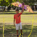 3D Dragon Kite with Tail